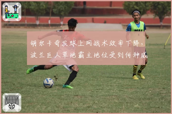 胡尔卡奇发球上网战术效率下降,波兰巨人草地霸主地位受到何种威胁?