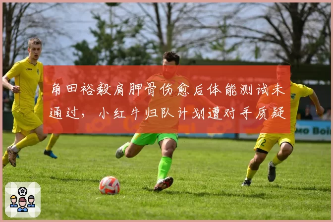 角田裕毅肩胛骨伤愈后体能测试未通过,小红牛归队计划遭对手质疑