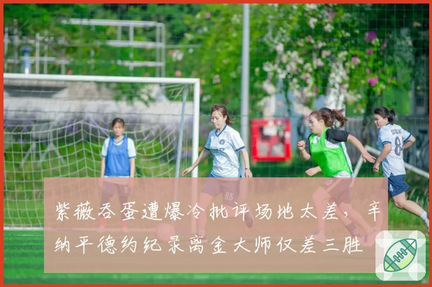 紫薇吞蛋遭爆冷批评场地太差，辛纳平德约纪录离金大师仅差三胜