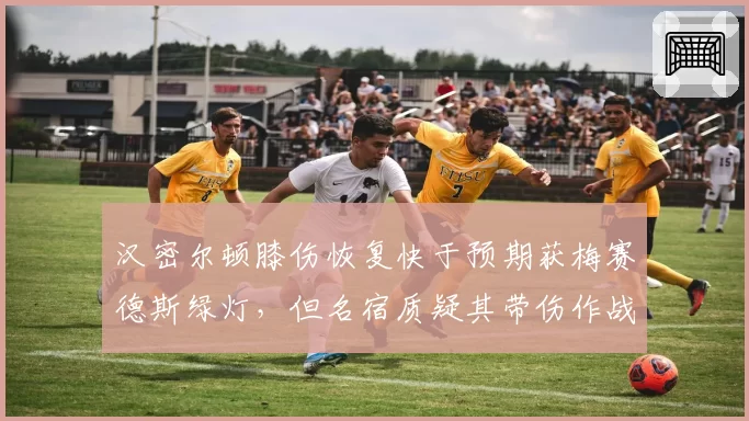 汉密尔顿膝伤恢复快于预期获梅赛德斯绿灯，但名宿质疑其带伤作战恐留后患__br_